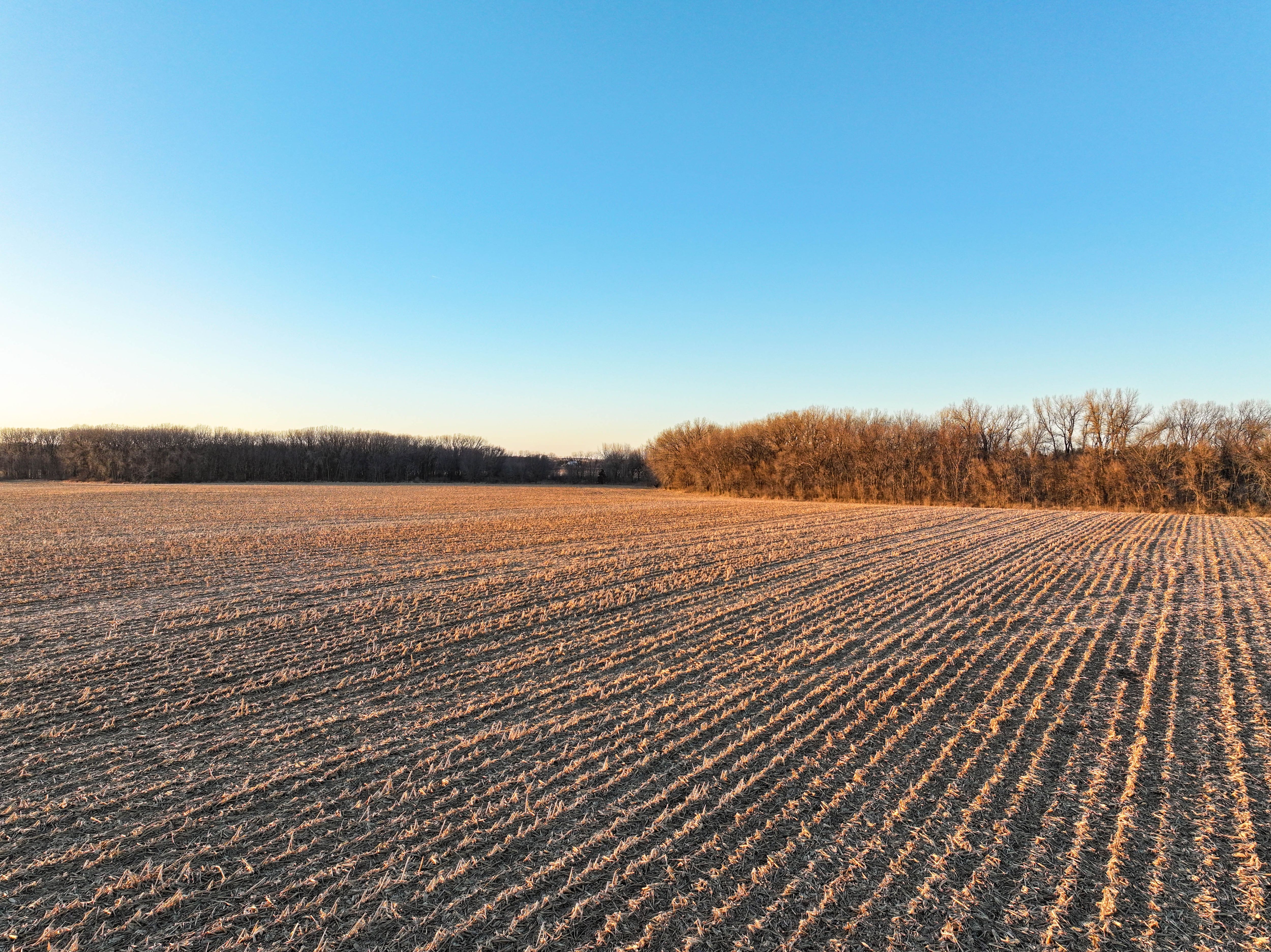 Listing Photo: 12_Independence Iowa Farmland For Sale